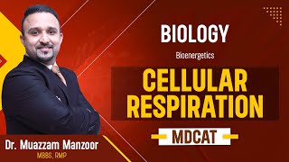 3 Biology  Bioenergetics  Cellular Respiration  MDCAT 2025 [upl. by Aitselec893]