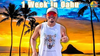 Best Things to Do in OAHU in 2024  Hawaii Travel Vlog [upl. by Ramak230]