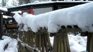 G Scale Trains Plowing Snow in Maltby WA part 2 [upl. by Lahpos]