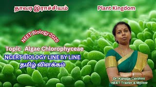 நீட் உயிரியல் தமிழில் விளக்கம் 2025  Topic Algae Chlorophyceae [upl. by Lyram]