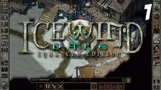 Lets Play Icewind Dale Enhanced Edition Gameplay 1  Hrothgar  Playthrough Walkthrough PC HD [upl. by Acima]