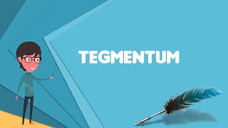 What is Tegmentum Explain Tegmentum Define Tegmentum Meaning of Tegmentum [upl. by Mariano]