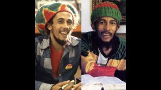 Black Disabled History  Bob Marley [upl. by Zetnwahs]