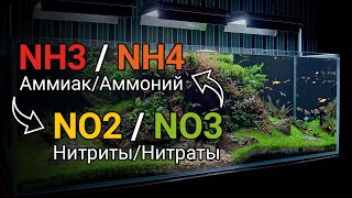 Аммиак NH3 и аммоний NH4 нитриты NO2 и нитраты NO3 в воде аквариума Азотный цикл в воде [upl. by Ahseinaj]