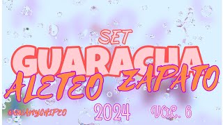 Set Guaracha 2024  Mix Aleteo Zapateo Tech House  Vol 6 [upl. by Ramsey445]