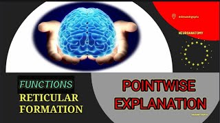 RETICULAR FORMATION  Part 22 [upl. by Sidnak403]