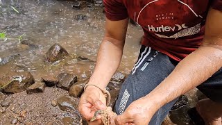 Peces muertos😞 encuentra Carlitos en esta quebrada😱y va al rescate por los demas [upl. by Shreeves]