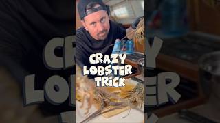 Lobster season is here🦞 Try out this crazy trick next time you are cooking one sailingbyefelicia [upl. by Anitsahs]