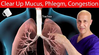 1 Cup a DayClears Mucus Phlegm amp Congestion Away Dr Mandell [upl. by Ekusoyr]