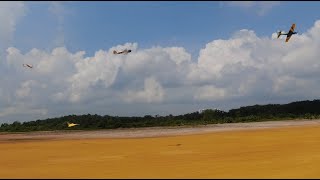 FMS EDF Rafale vs Petrol Warbirds RC Planes [upl. by Base]