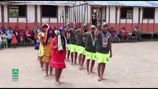 Comunidad Embera Chamí protectores de la rana Oophaga Histrionica endémica de este territorio [upl. by Cariotta]