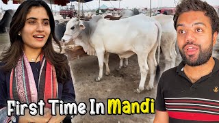 Aroob Ne Pehli Baar Bakra Mandi Dekhi 🐐😍  Mandi Se Agla Janwar Konsa Len  🤔 [upl. by Tolmann]