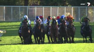 Criterion  Queen Elizabeth Stakes Jockey Cam [upl. by Worrell]