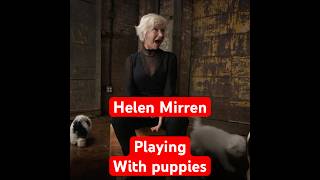 Helen Mirren playing with puppies is the cutest thing you’ll see today [upl. by Aittam]