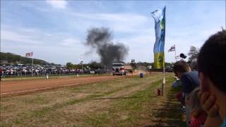 Mean Old Pete at Wraxall North Somerset Show 2014 [upl. by Earlene937]