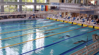 100m SF Men  World Record by Max Poschart at Finswimming German Championship 2017 [upl. by Crenshaw895]