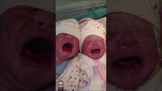 Twins babies first time crying shorts [upl. by Rubma20]