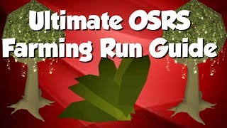 OSRS Ultimate Farming Run Guide [upl. by Hayyikaz]