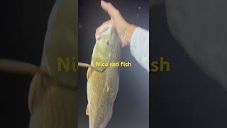 Redfishwired2fish wired2fish bassfishing twofish fishing fishingvideo automobile carptalk [upl. by Enamrahs]