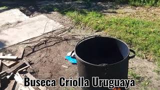 Buseca Criolla Uruguaya [upl. by Amluz852]