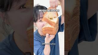 휴지조각빵 vs 휴지조각된 내 주식 [upl. by Susej612]