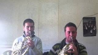 Beethoven 7 Orchestral Excerpt French Horn Javier Molina Parra y Miguel Morles Llopis [upl. by Arahas]