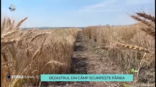 Stirile Kanal D  Dezastrul din camp scumpeste painea  Editie de pranz [upl. by Cuthbertson]