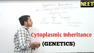 Cytoplasmic Inheritance In MIRABILIS JALAPA  GENETICS  NEET  BIOwithKD [upl. by Yrtneg79]