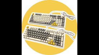 T50 TWolf Multicolor Mechanical Backlit Keyboards with media knob [upl. by Akinnor]