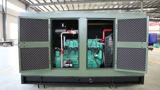 Natural gas CNG LNG LPG biogas syngas generator set [upl. by Lezah]