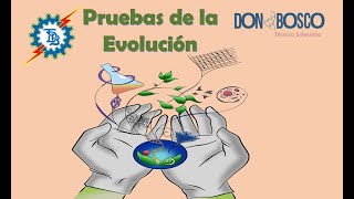 PRUEBAS DE LA EVOLUCIÓN [upl. by Charpentier326]