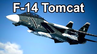 F14 Tomcat gegen sowjetische Jets [upl. by Sidnarb]