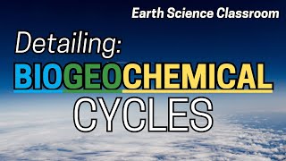 Detailing All The Biogeochemical Cycles [upl. by Karas]