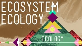 Ecosystem Ecology Links in the Chain  Crash Course Ecology 7 [upl. by Nitniuq56]