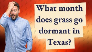 What month does grass go dormant in Texas [upl. by Auqinot]