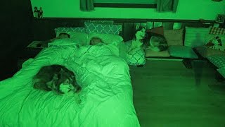 What My Dogs Do Overnight in a Haunted Room [upl. by Silado625]