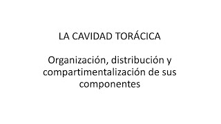 cavidad toracica en mamíferos Organización y divisiones [upl. by Compte]