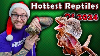 Top 5 Newly Popular Reptiles That Will BLOW UP in 2024 [upl. by Aivizt]