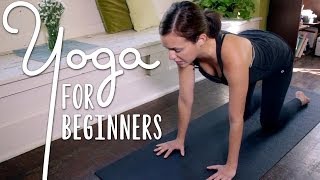 Yoga For Complete Beginners  20 Minute Home Yoga Workout [upl. by Charin]