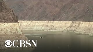 Colorado River water shortage declared for first time amid historic drought [upl. by Rotce]