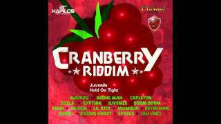 Cranberry Riddim Mix May 2012 [upl. by Rosanne554]