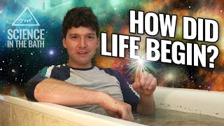 How Did Life Begin [upl. by Paquito]