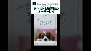 Photoshop Elementsのガイドモードでポストカードを作ろう❤️shorts Photoshop Elements [upl. by Ennovyhs]