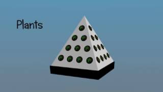 Hydroponics system  Pyramid  Animated and explained with 3d [upl. by Wilhelmina852]