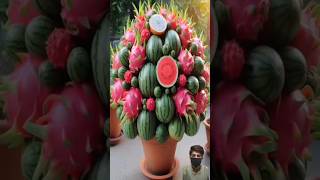 Grafting Dragon Fruit Onto Watermelon  For Amazing Fruit [upl. by Burley]