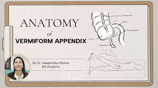 Anatomy of Vermiform Appendix  Dr Deep Shikha [upl. by Latreshia]