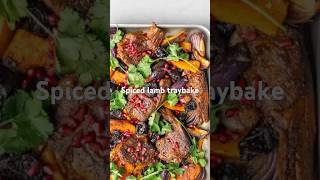 Spiced Lamb Traybake from my new cook book [upl. by Airym580]