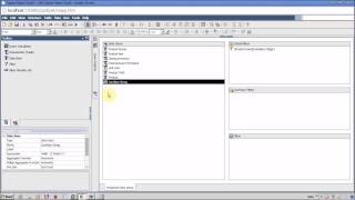 IBM Cognos 10 Reposrt Studio Data Items [upl. by Aliak]