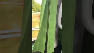 FlixBus from Cardiff to London Heathrow Airport [upl. by Alemac332]