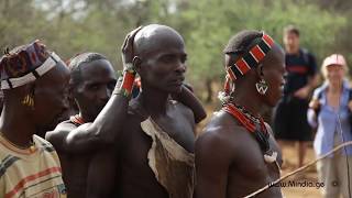 Bull Jumping Ritual  Hamar Tribe Ethiopia [upl. by Nrobyalc]